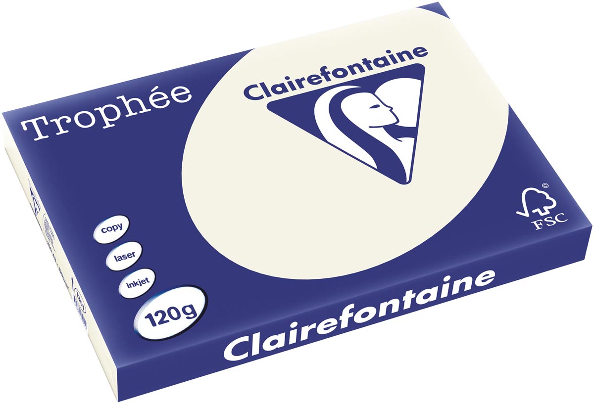 Clairefontaine - Trophée tel, farbiges Papier, A3, 120 g, 250 Blatt, perlgrau