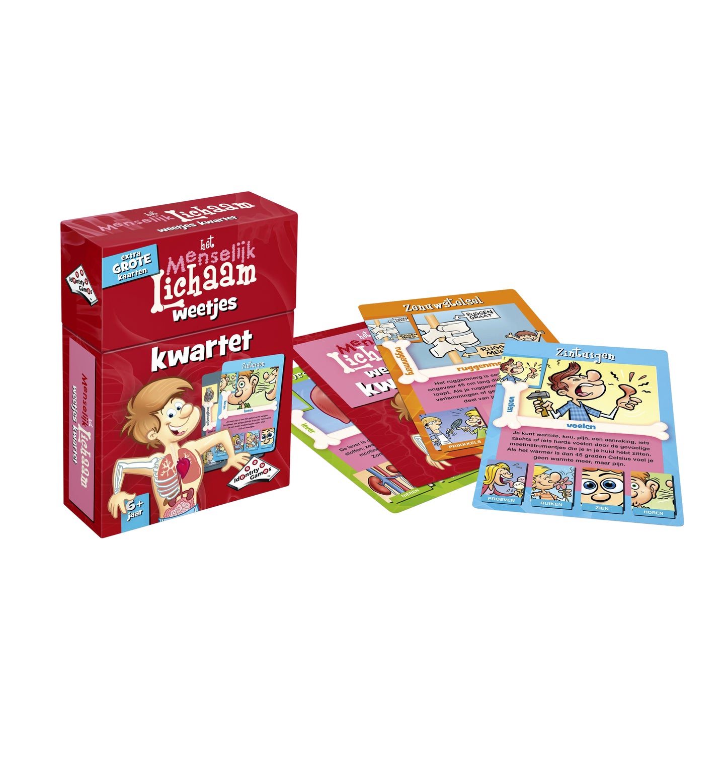 Identity Games – Faktenquartett über den menschlichen Körper