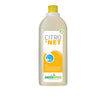 Greenspeed - Liquide vaisselle Citronet 1 litre | 12 pièces