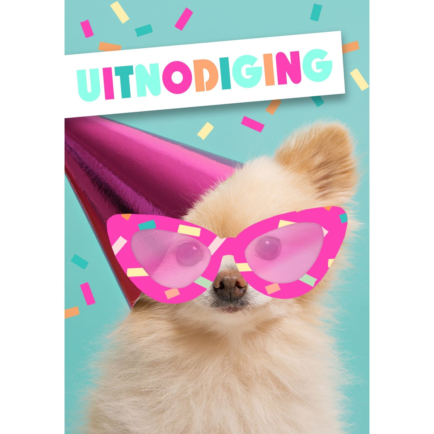 Hallmark – Einladungshund mit Sonnenbrille, 14 x 9 cm