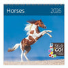 Helma 365 - Calendrier 2026 30x30cm chevaux