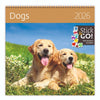 Helma 365 - Calendrier 2026 30x30cm chiens