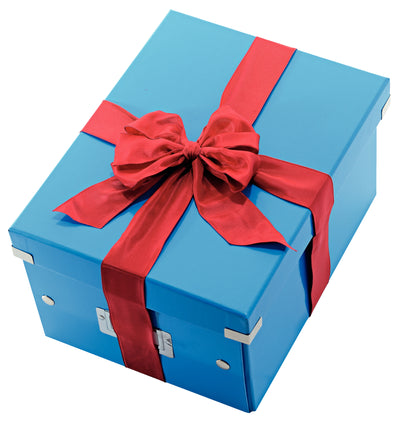 Leitz - Boîte de rangement Click Store WOW moyen carton recyclé 281x200x370mm bleu