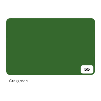 Folia Paper - Carton photo Folia 2 faces 50x70cm 300gr nr55 vert herbe