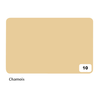 Folia Paper - Carton photo Folia 2 faces 50x70cm 300gr n°10 chamois | 10 pièces