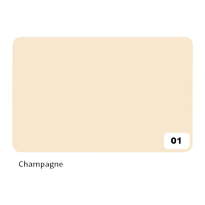 Folia Paper - Carton photo Folia 2 faces 50x70cm 300gr nr01 champagne | 10 pièces