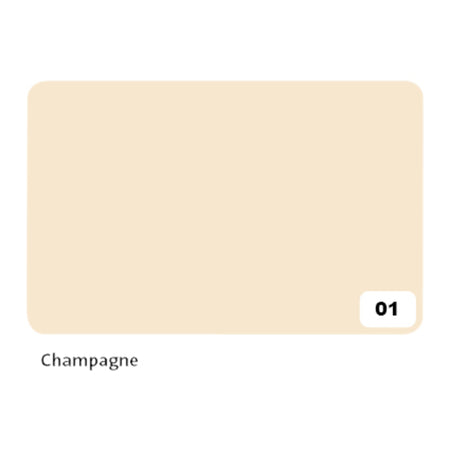 Folia Paper - Carton photo Folia 2 faces 50x70cm 300gr nr01 champagne | 10 pièces