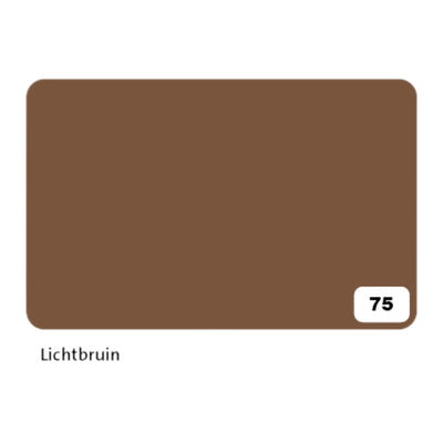Folia Paper -  Fotokarton folia 300gr 50x70cm 75 reebruin