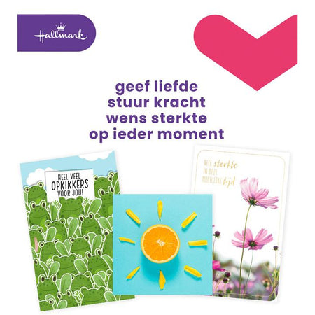 Hallmark - Set de recharge pour cartes de vœux guérissez bientôt/bonne chance 12 cartes