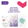 Hallmark - Ensemble de recharge de cartes de vœux condoléances 10 cartes