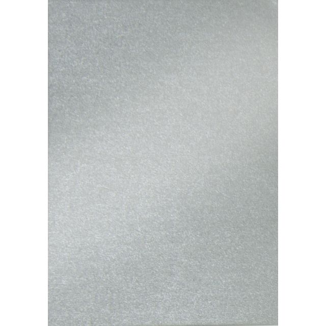 Folia Paper - Carton photo Folia 2 faces 50x70cm 250gr nacre nr60 argent | 10 pièces