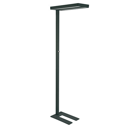 Maul -  Vloerlamp  javal led dimbaar zwart hoog 195cm