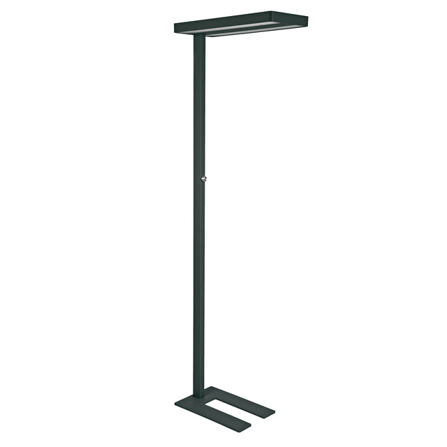 MAUL - Lampadaire Javal LED dimmable noir haut 195cm