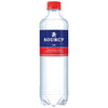 Sourcy - Wasserrote PET-Flasche 500 ml