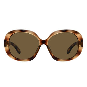 Montana -  Zonnebril  bruin polar glas glans demi