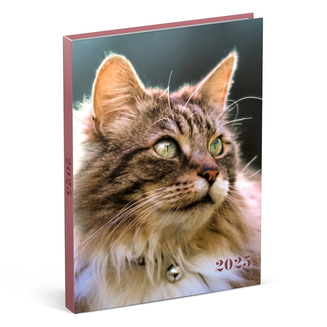 Lannoo - Agenda 2025 Meine Lieblingsfreunde 7 Tage/2 Seiten