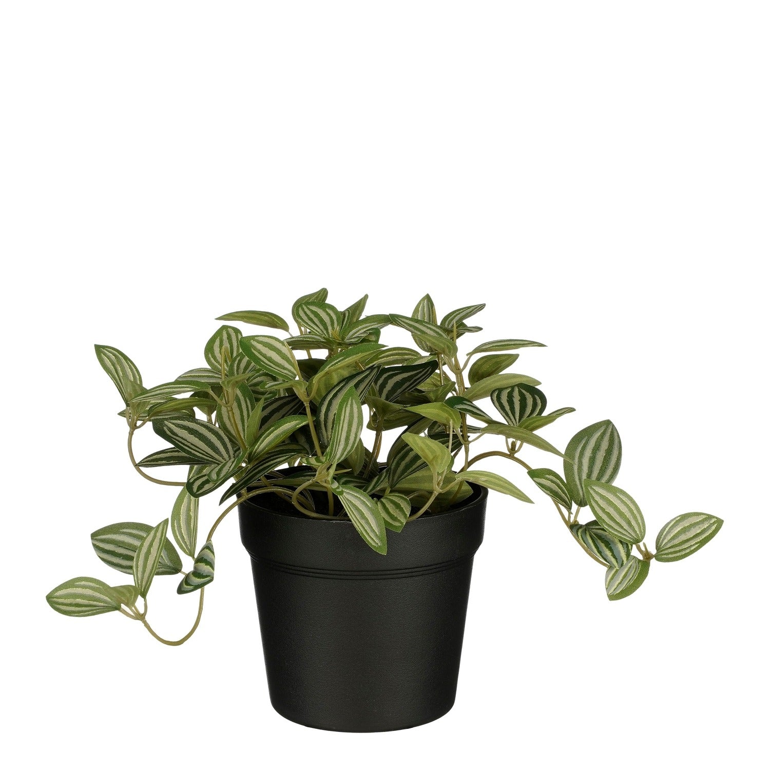 Mica Decorations - Plante artificielle Mica Tradescantia en pot 16x16cm | 6 pièces