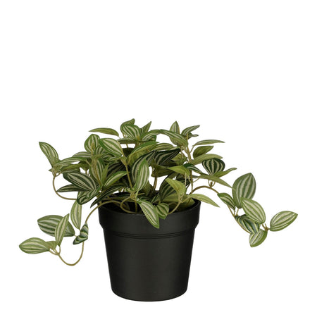 Glimmerdekorationen - Kunstpflanze Glimmer Tradescantia im Topf 16x16cm | 6 Stück