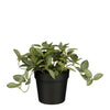 Mica Decorations - Plante artificielle Mica Tradescantia en pot 16x16cm