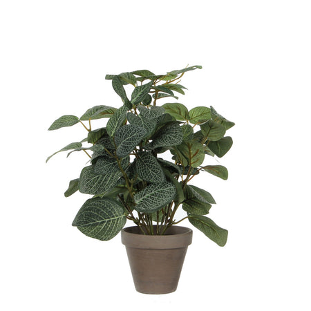 Mica Decorations - Plante artificielle mica pilea en pot 35x25cm