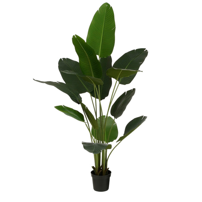 Mica Decorations -  Kunstplant Mica Bananen boom in plastic pot 180x30cm | 2 stuks