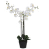 Mica Decorations -  Kunstplant Mica Phalaenopsis orchideeën wit in plastic pot 79x51cm