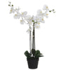 Mica Decorations - Plante artificielle mica phalaenopsis orchidée blanche | 2 pièces