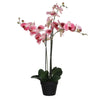 Mica Decorations -  Kunstplant Mica Phalaenopsis orchideeën roze in plastic pot 79x51cm