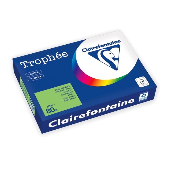 Trophee - Papier à copier Trophée A4 80gr vert gazon 500 feuilles | 5 pièces