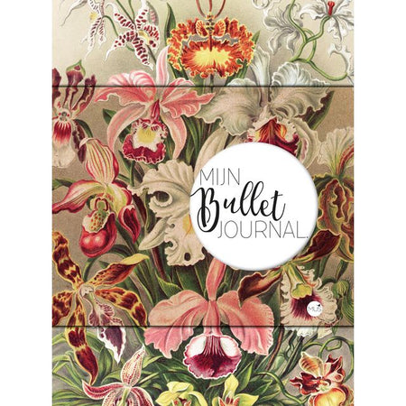 Bullet Journal - Mes points d'orchidées 240 pages