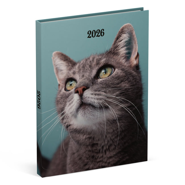 Lannoo -  Agenda 2026  110x150 My favourite friends 7dagen/2pagina's cats