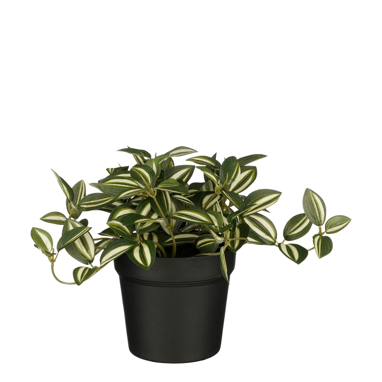 Mica Decorations -  Kunstplant mica tradescantia in pot groen | 6 stuks