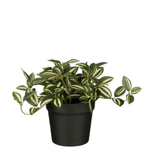 Mica Decorations -  Kunstplant mica tradescantia in pot groen | 6 stuks