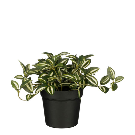 Mica Decorations -  Kunstplant mica tradescantia in pot groen | 6 stuks