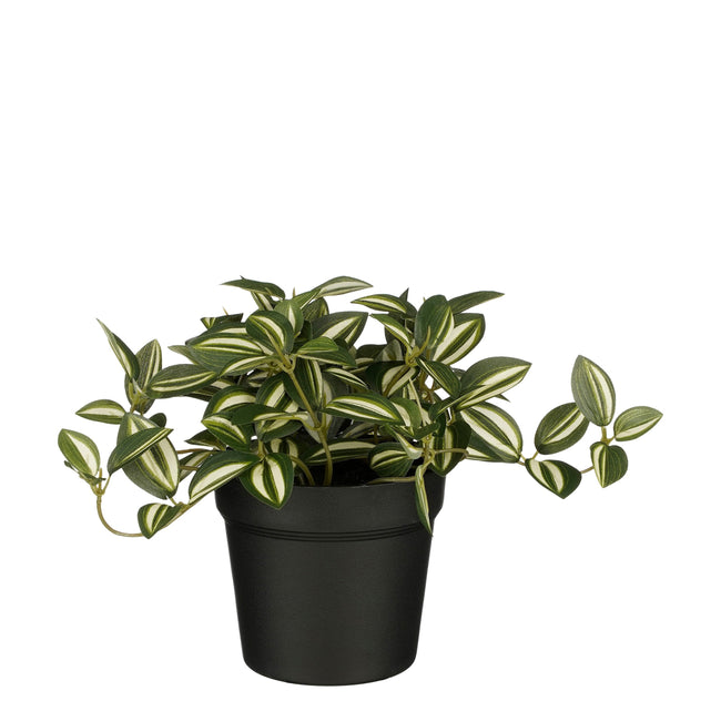 Mica Decorations -  Kunstplant mica tradescantia in pot groen | 6 stuks