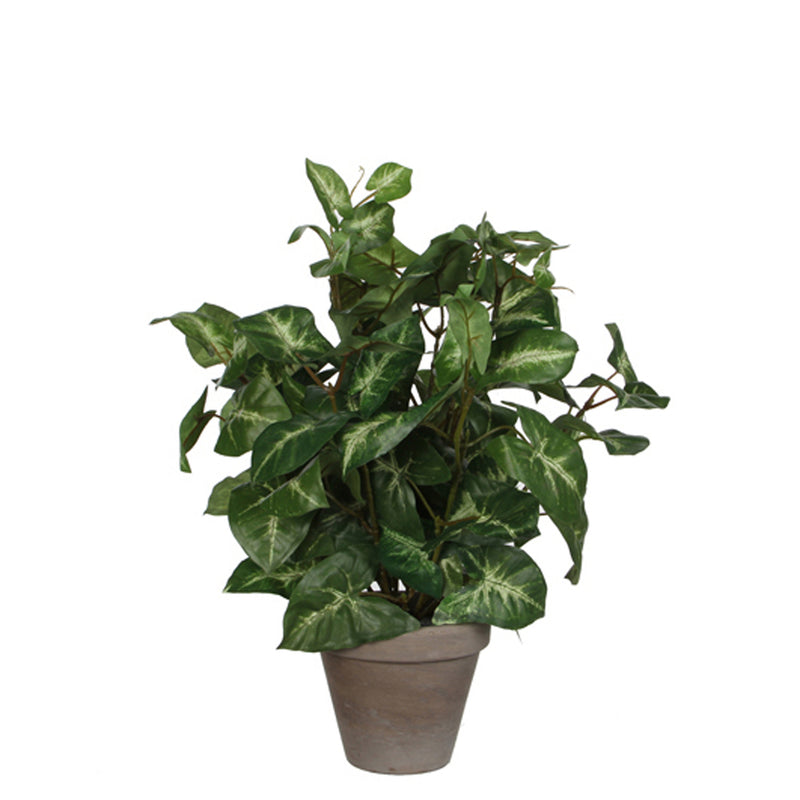 Mica Decorations -  Kunstplant mica syngonium groen in pot