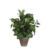 Mica Decorations -  Kunstplant mica syngonium groen in pot