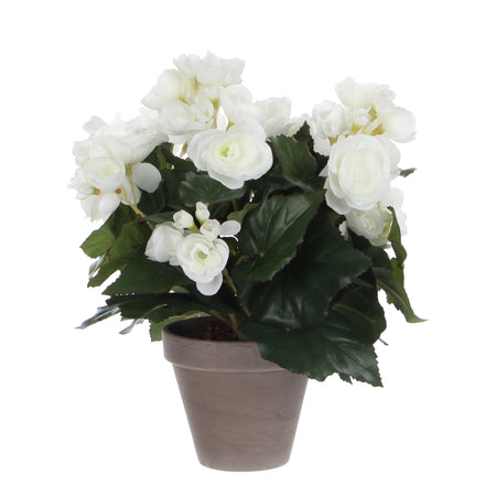Mica Decorations -  Kunstplant mica begonia wit in pot stan grijs | 6 stuks