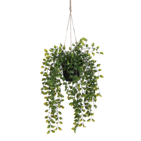 Mica Decorations -  Kunstplant mica ficus hangend in pot groen | 6 stuks