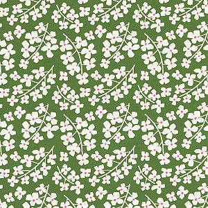 Klika - Geschenkpapier - Geschenkpapier - Daisy Green auf weißer Rippen 50 cm