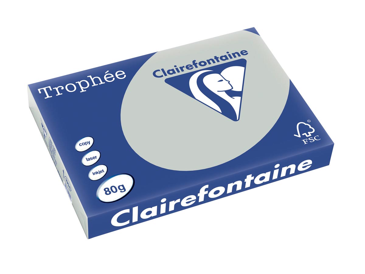 Clairefontaine -  Trophée tel, gekleurd papier, A3, 80 g, 500 vel, lichtgrijs