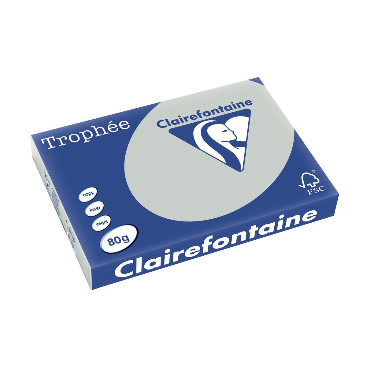 Clairefontaine - Trophée Tel, farbiges Papier, A3, 80 g, 500 Blätter, hellgrau