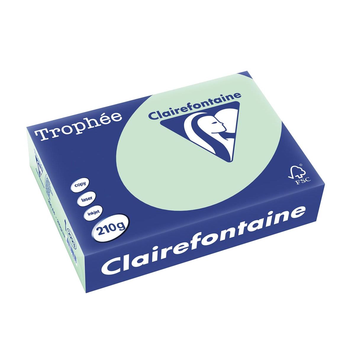 Clairefontaine - Trophée tel, papier coloré, A4, 210 g, 250 feuilles, vert