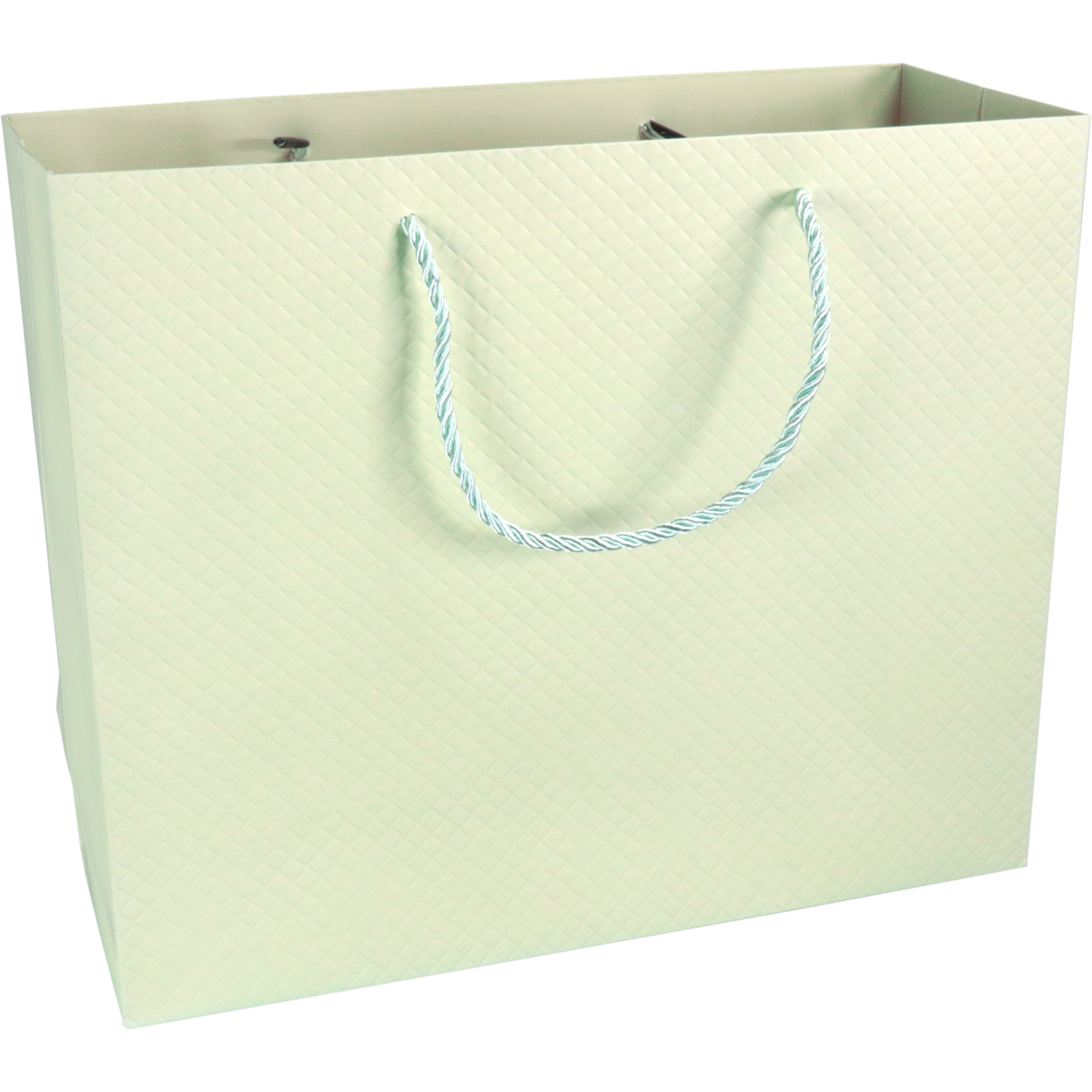 Klika -  Tas | Papier | embossed | 31x 12x26cm | draagtas | pastelgroen | 40 stuks
