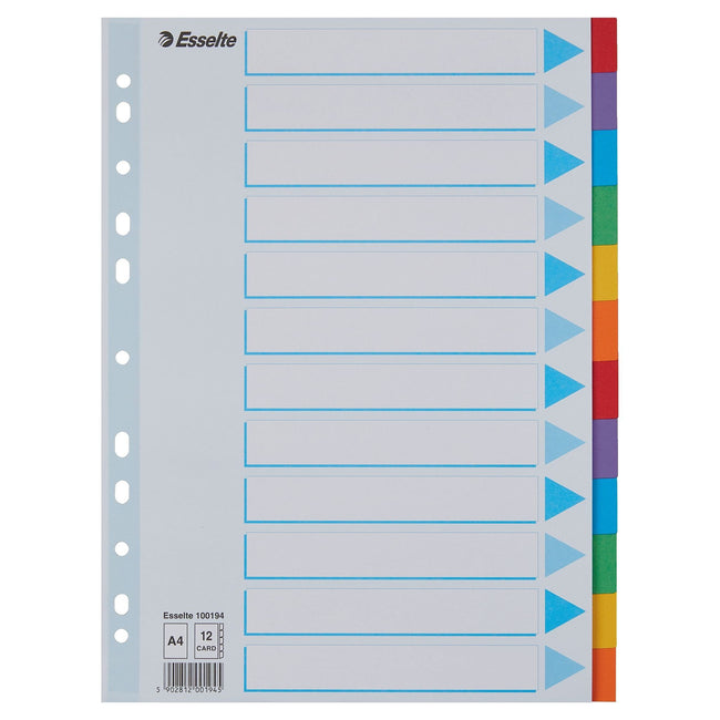 Esselte - Onglets Standard A4 12 pièces en carton 11 anneaux avec page de couverture assorties