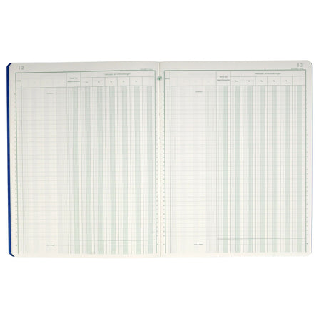 Exacompta -  Register piqure dagontvangsten 320x250mm 80vel