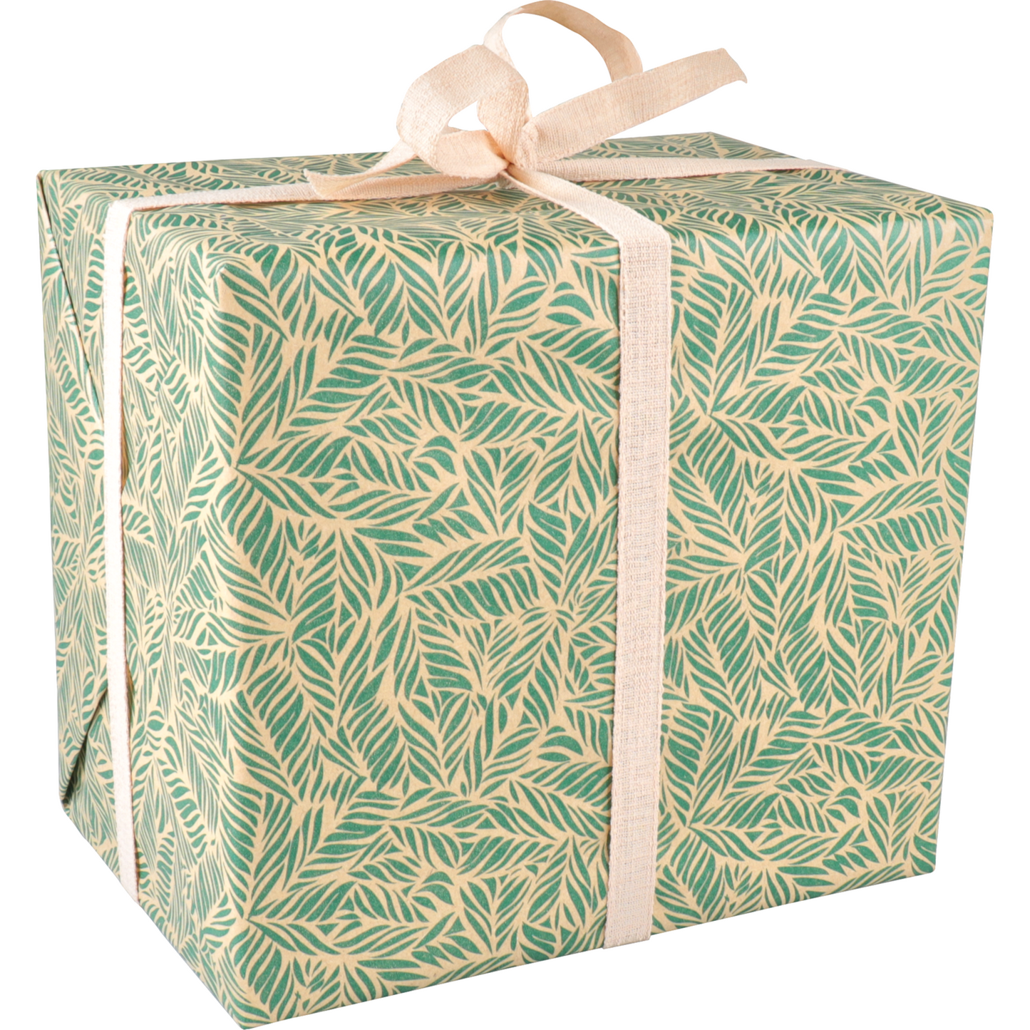 Klika - papier cadeau 30 cm | 100m | 65gr / m² Feuilles | Vert / kraft