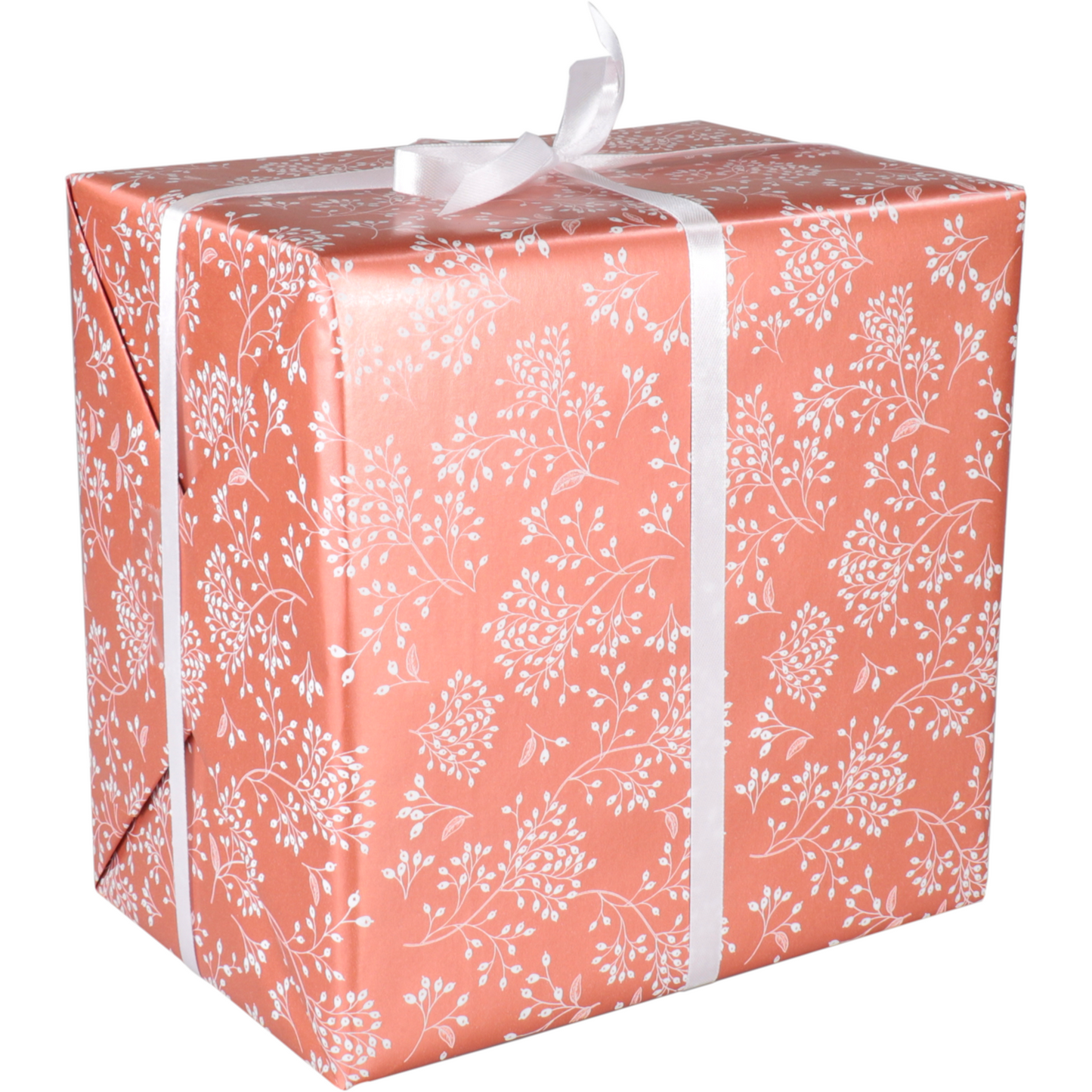 Klika - papier cadeau 50 cm | 200m | 80gr / m² Botanique | Terra / blanc