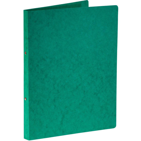 Bronyl -   ringmap, voor ft A4, uit glanskarton, 2 ringen van 16 mm, groen