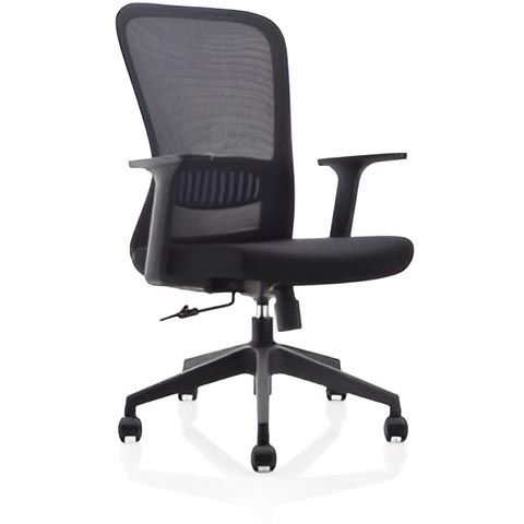 Sans marque - chaise de bureau ergonomique, piètement plastique, noir, lot de 2 chaises